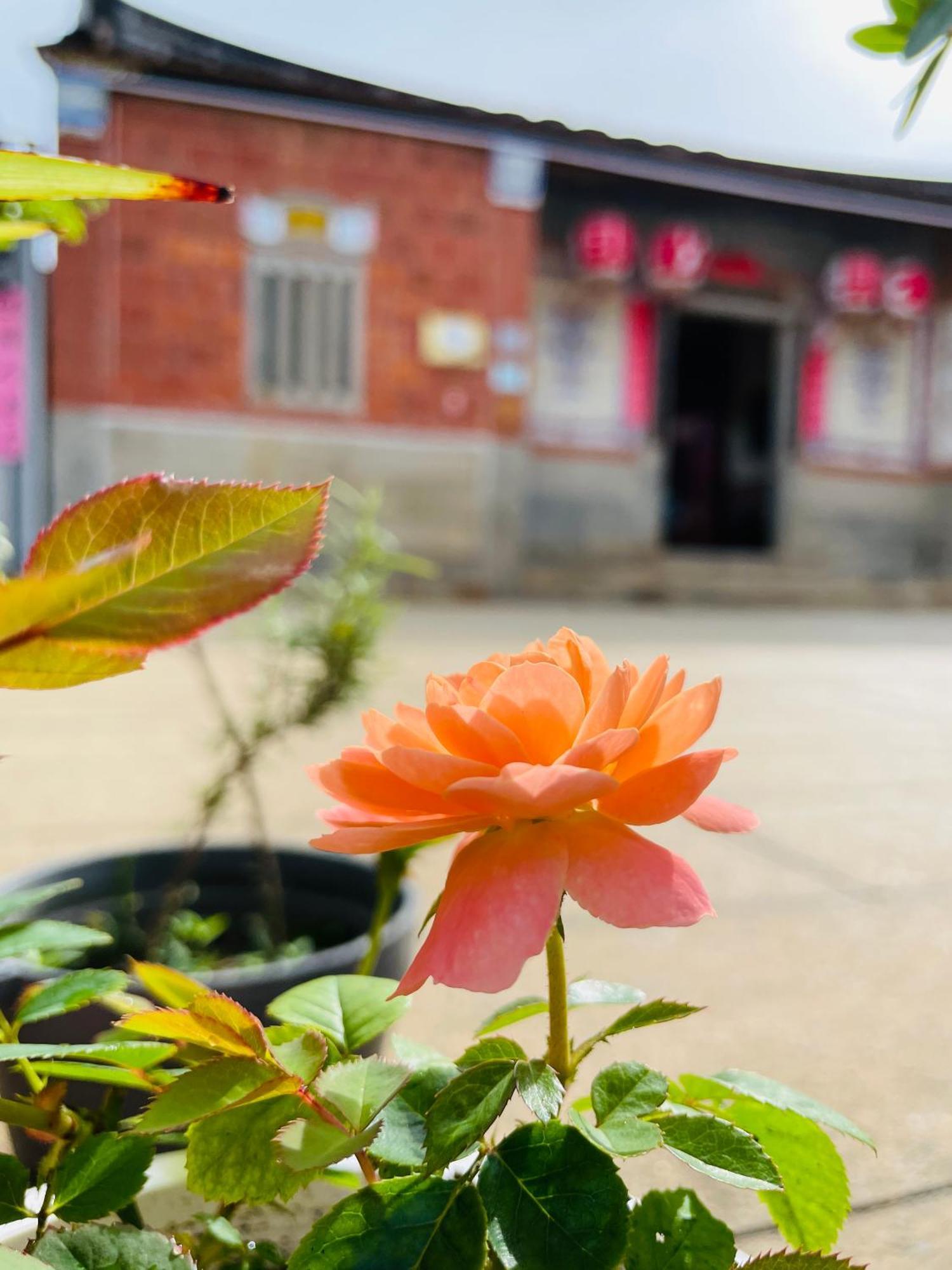 Grace Homestay Jincheng Exterior photo